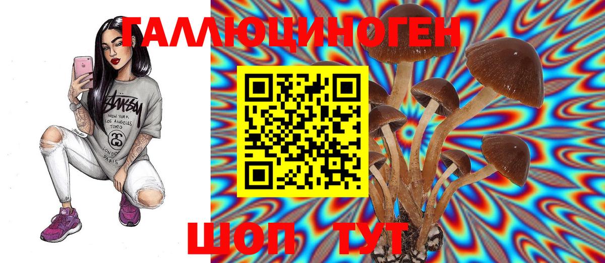 Галлюциногенные грибы GOLDEN TEACHER  закладки  Бийск 