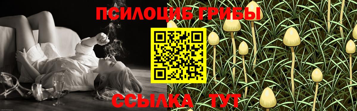 Галлюциногенные грибы Cubensis  Вход с VPN  что такое наркотик  Бийск 