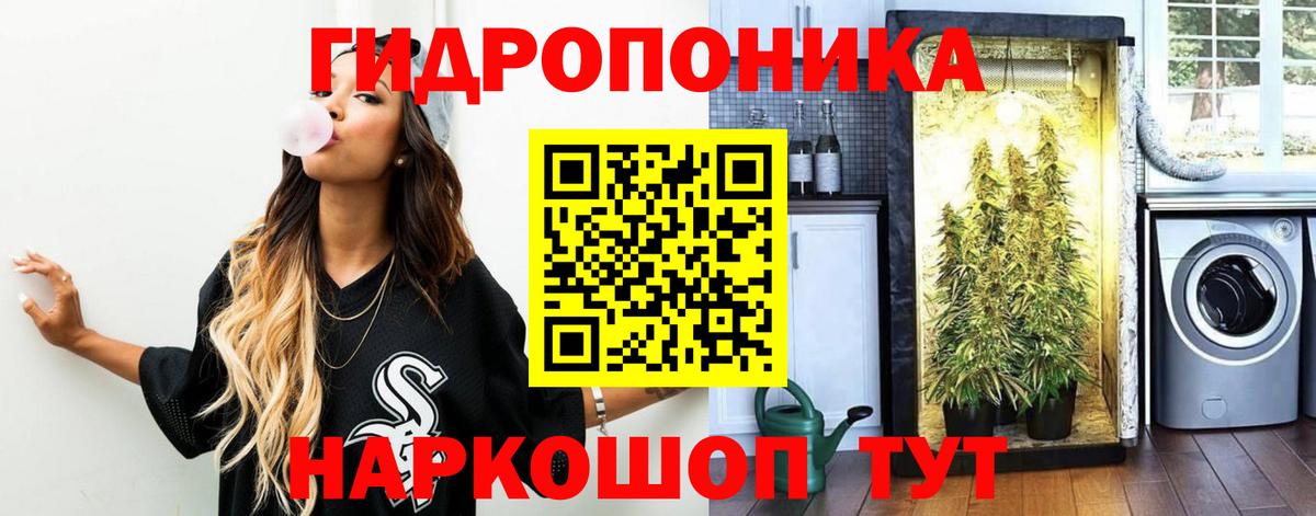 Бошки марихуана планчик  Каннабис гибрид  Бийск  Канабис Bruce Banner  Бошки Шишки гибрид 