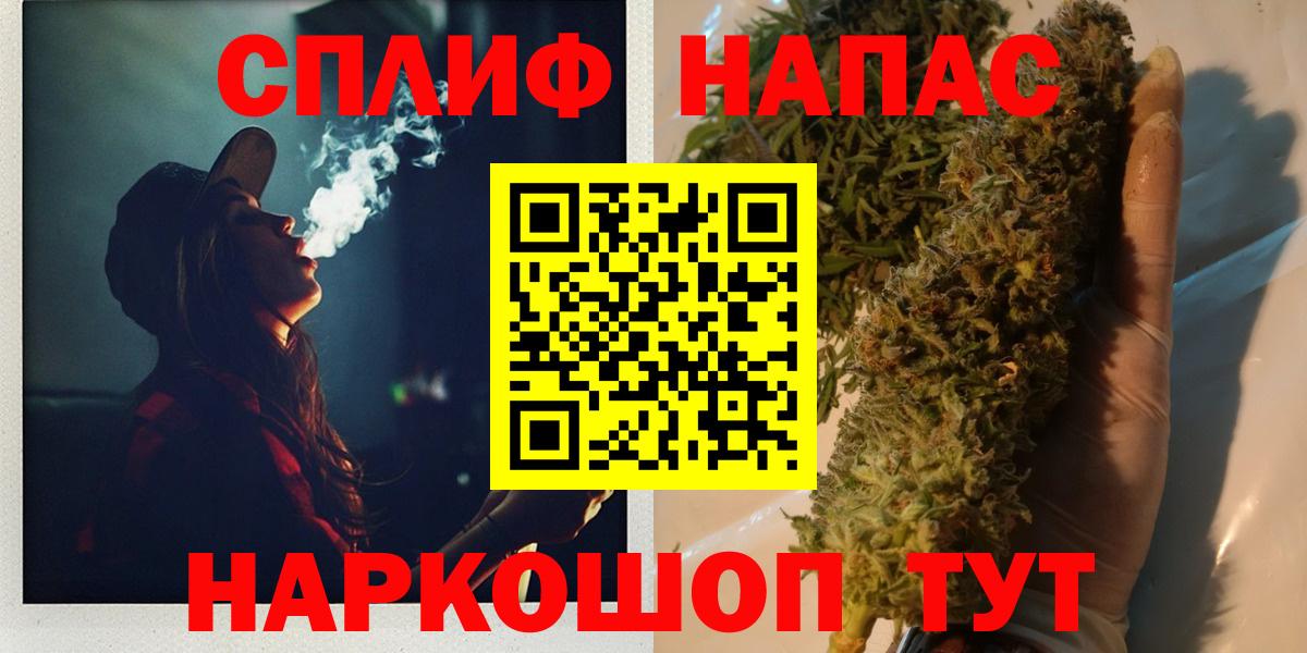 Бошки Шишки планчик Бийск